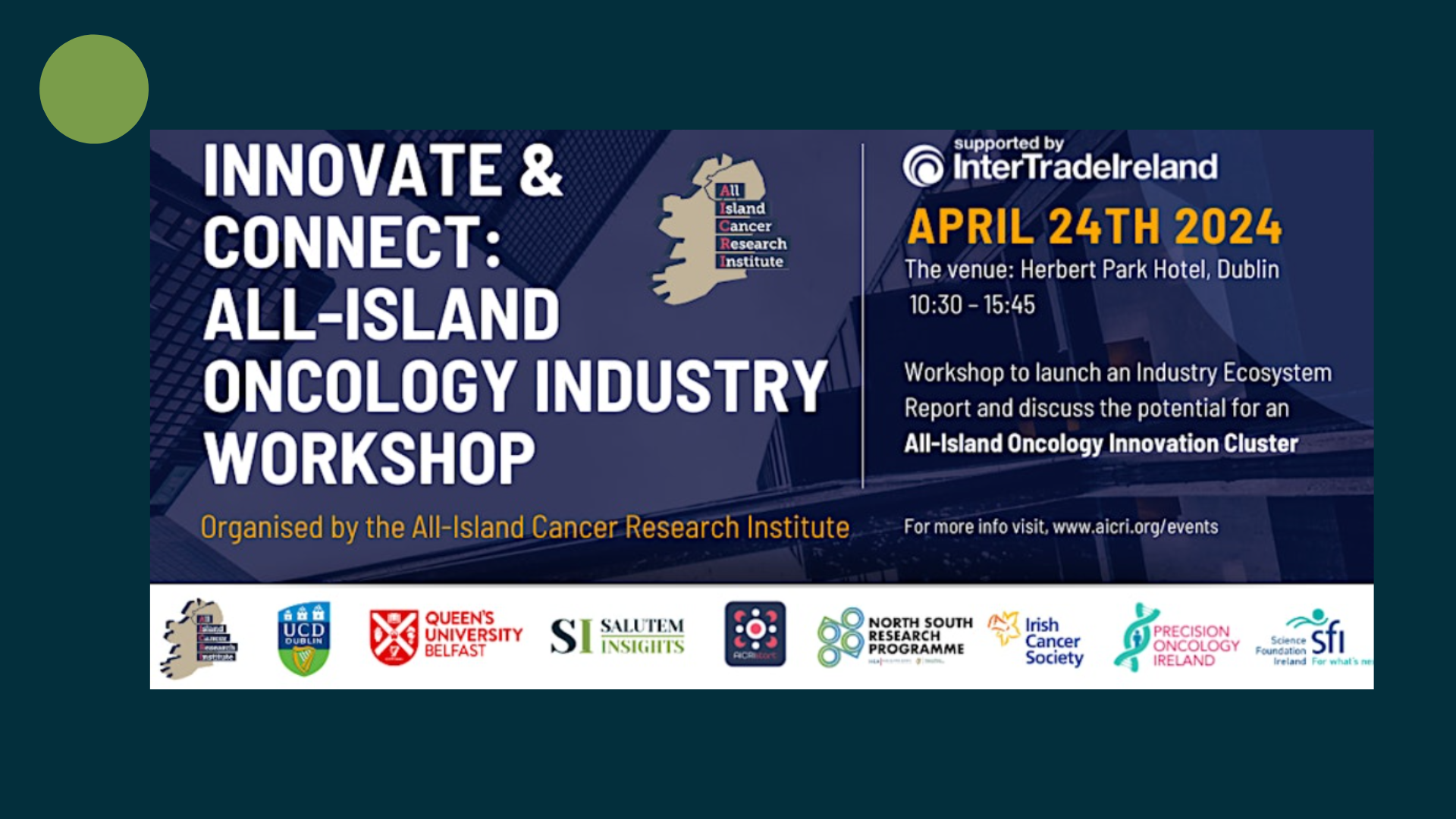Innovate & Connect: All-Island Oncology Industry Workshop - Salutem Insights Participation